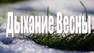 Дыхание весны. Поздравление с началом весны