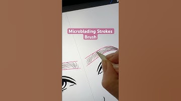 Practice with Procreate🪄 #strokepattern #microblading #browmapping #pmutraining
