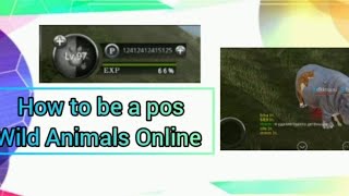 Wild Animals Online: how to be a pos and give 4985 and 4660 points screenshot 3
