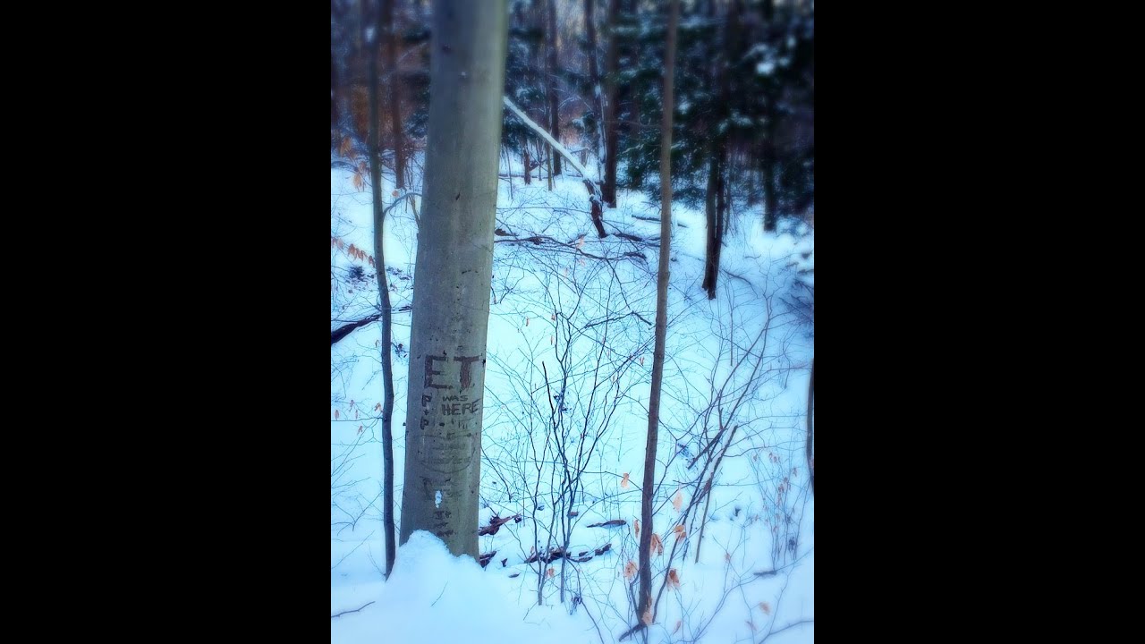 Rot. Rust. Ruin: Our Fading Mark