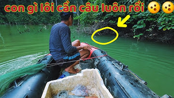 Câu Cá Chạch Kiểu Này Dính Cá Thấy Ham Luôn ❤️❤️❤️ 48h Câu Cá