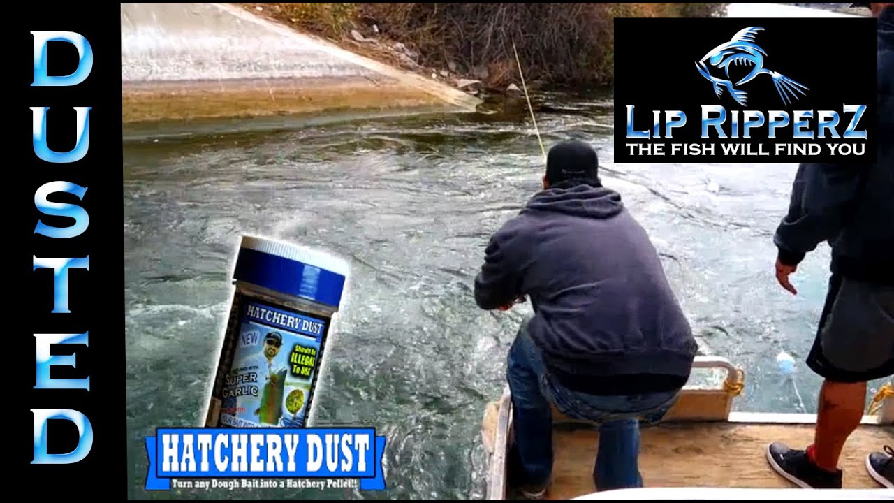 Lake Record Trout Fights Back!! 2lb Line WASNT Enough.