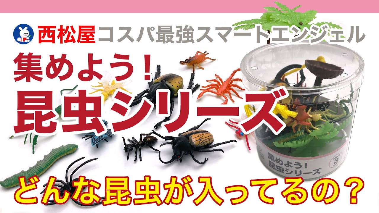 西松屋のおもちゃ「集めよう！昆虫シリーズ」のセット内容の昆虫たちを