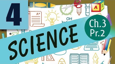 Class 4 | Science : Chapter 3 : Teeth and Microbes : Part 2 |