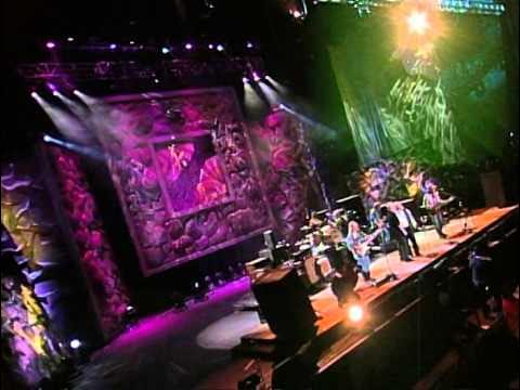 Crosby, Stills, Nash & Young - Cinnamon Girl (Live at Farm Aid 2000)