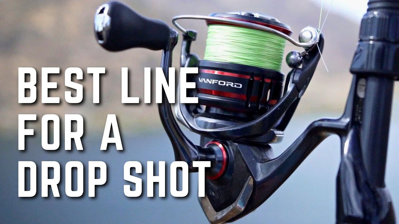 Stop Messing this Up! What's the BEST FISHING Line for the Drop Shot? Find  out here! 