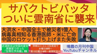 サバクトビバッタ、ついに雲南省に襲来/大洪水・中国全土で被災者1億人/病毒真相知る香港医師・米に亡命/中国のロケット打ち上げまた失敗 #サバクトビバッタ　#バッタ　#洪水