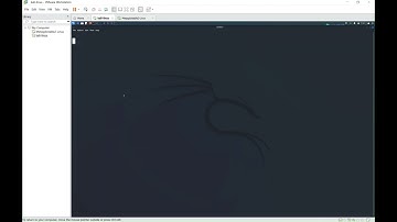 CVE-2011-2523 Demonstration