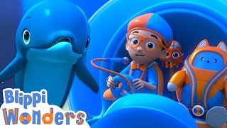 Underwater Adventures with Dolphins | Blippi Wonders Fun Cartoons | Moonbug Kids Cartoon Adventure by Moonbug Kids - Cartoon Adventures 4,334 views 1 month ago 3 minutes, 47 seconds