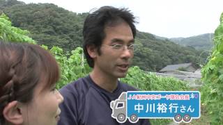 ココ・カラ。和歌山（8/22 O.A.）