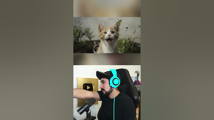 ASÍ ES CÓMO BOSTEZAN LOS ANIMALES 😳
