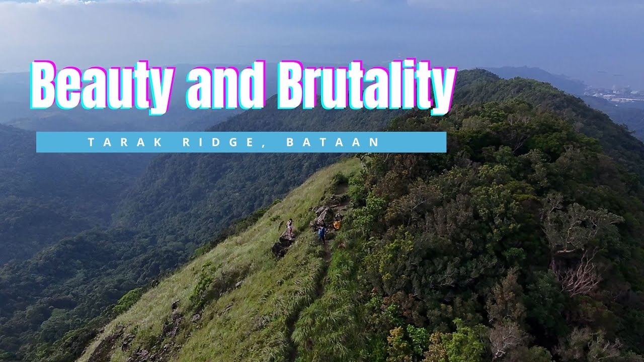 From Forest to Summit: Our Epic Tarak Ridge Adventure! - YouTube