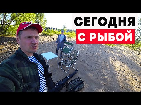 Видео: В этом месте клюёт только вечером. Неожиданная встреча собаки и язя!