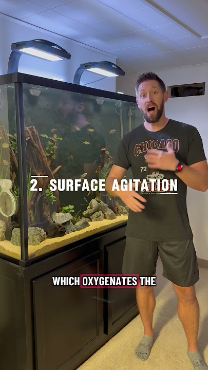 3 Benefits of Using a Wavemaker in Your Tank