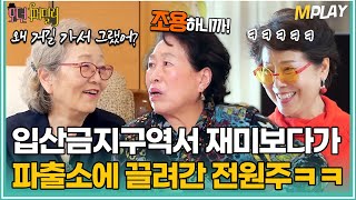 "많이 급하셨나 봐요" 입산금지 구역에서 재미보다가 파출소에 끌려간 전원주😳ㅋㅋ [#모던패밀리] | MBN 20200327 방송