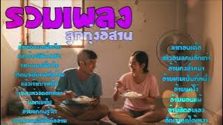 รวมเพลง ลูกทุ่ง อีสาน อ้ายเกิดมาเพื่อเจ็บ เพลงใหม่ล่าสุด 2025