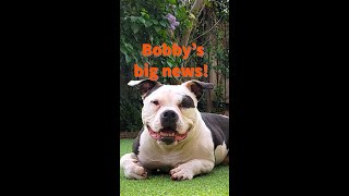 Bobby Bones finally gets adopted!