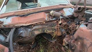 2 Mercury Cyclone's sitting in a junkyard Part 2