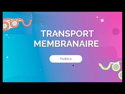 Vidéo: Pourquoi le transport actif est-il important pour l'homme ?