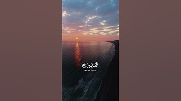 🤍🕊️#سورة_المائدة #قرآن #quran #اكسبلور #explore #راحة_نفسية #تلاوة_خاشعة #قران_كريم #حالات_واتس#fypp