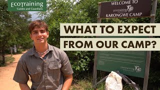 Have you ever wondered what EcoTraining's Karongwe camp offers? | EcoTraining