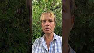 Философия Единства — возвращение к себе через осознание единства https://t.me/philosophyofunity