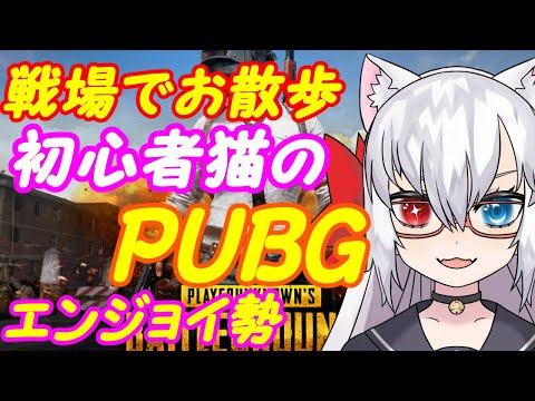 【PUBG】よわよわ猫のお散歩！036【VTuber】