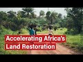 A New Phase for AFR100: Accelerating Africa’s Land Restoration Movement
