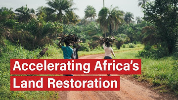A New Phase for AFR100: Accelerating Africa’s Land Restoration Movement