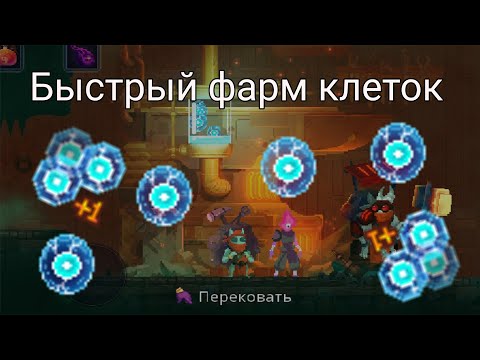 Видео: Как быстро улучшить кузницу и открыть вещи в Dead Cells? // Dead Cells