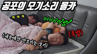 ENG)(몰카) 초록이 모기소리로 잠 못자게 하기 몰래카메라 ㅋㅋㅋ 분조장 초록이 한여름밤의 모기와의 전쟁 ㅋㅋㅋ screenshot 2