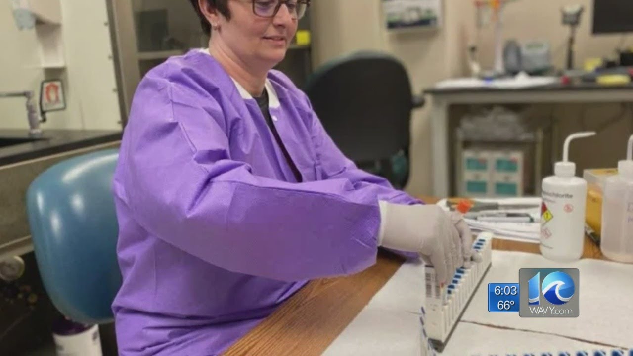 Sentara in-house testing