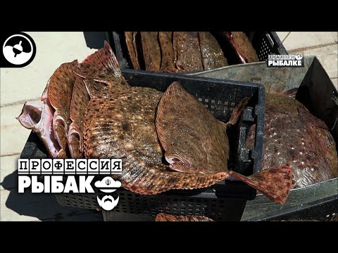 Промысловый лов камбалы. Калкан. Крым | Профессия рыбак ©