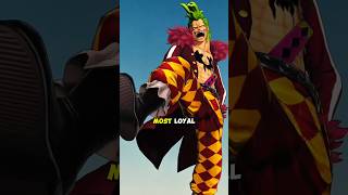 Most Loyal Person In One Piece Anime! #onepieceexplained #onepieceshorts