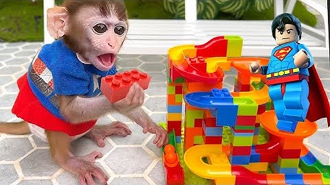 Baby Monkey Chu Chu Go To Buy Lego Toys And Eat Watermelon With Duckling In The Pool