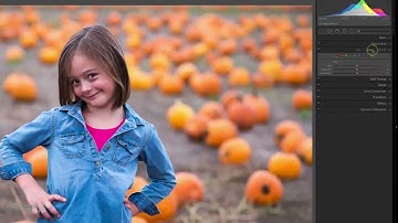 The Lightroom Classic HSL color panel