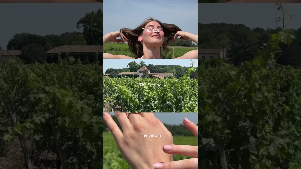 All born in the vines of Bordeaux 🍇✨