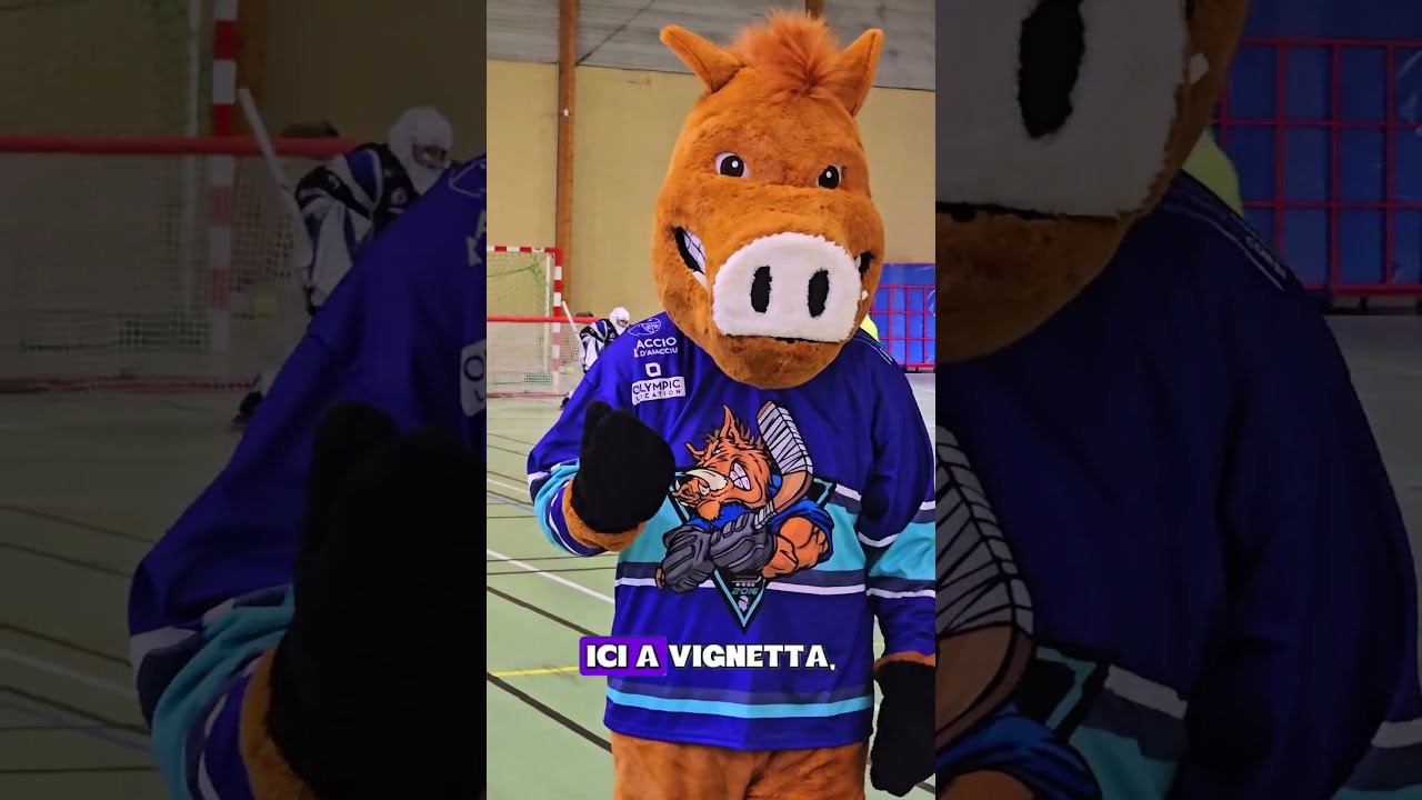 Chichi De La Villardi Re En Immersion Au RHCPA Rollerhockey Ajaccio