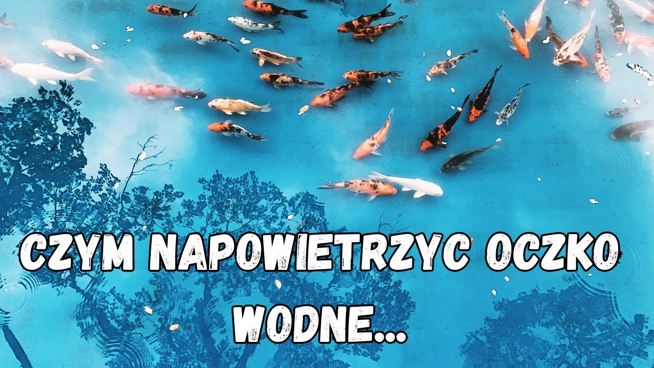 Jak napowietrzyć oczko wodne za 100 zł...