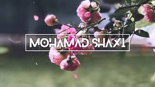 Mohamad Shaxi - Demo #2