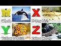 ABC Song | Sea Animals ABC Song | Phonics for Kids | Learn ABC, Baby | Alphabet Letters