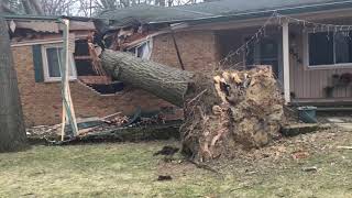 Tree crushes house in Akron