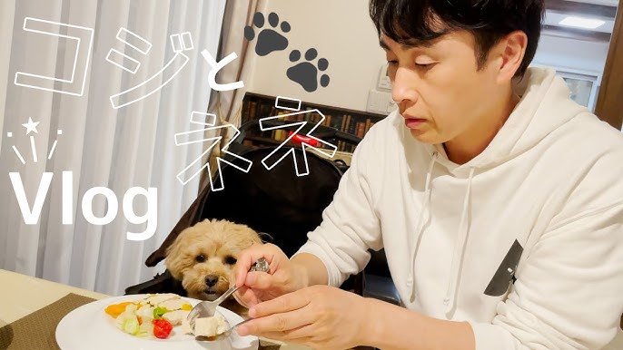 犬と暮らす48歳既婚男 児嶋の愛犬ルーティン Youtube 犬と暮らす48歳既婚男 児嶋の愛犬ルーティン Youtube