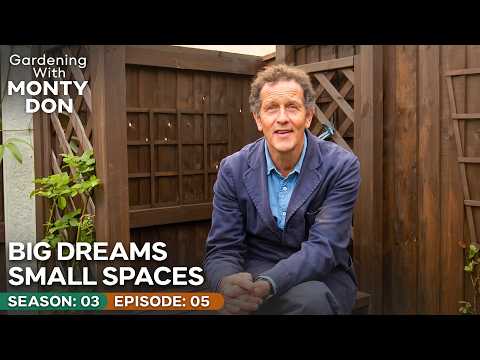 Building an "Enchanted Forest" in a Boring Back Yard | Big Dreams Small Spaces Season 3 Episode 5