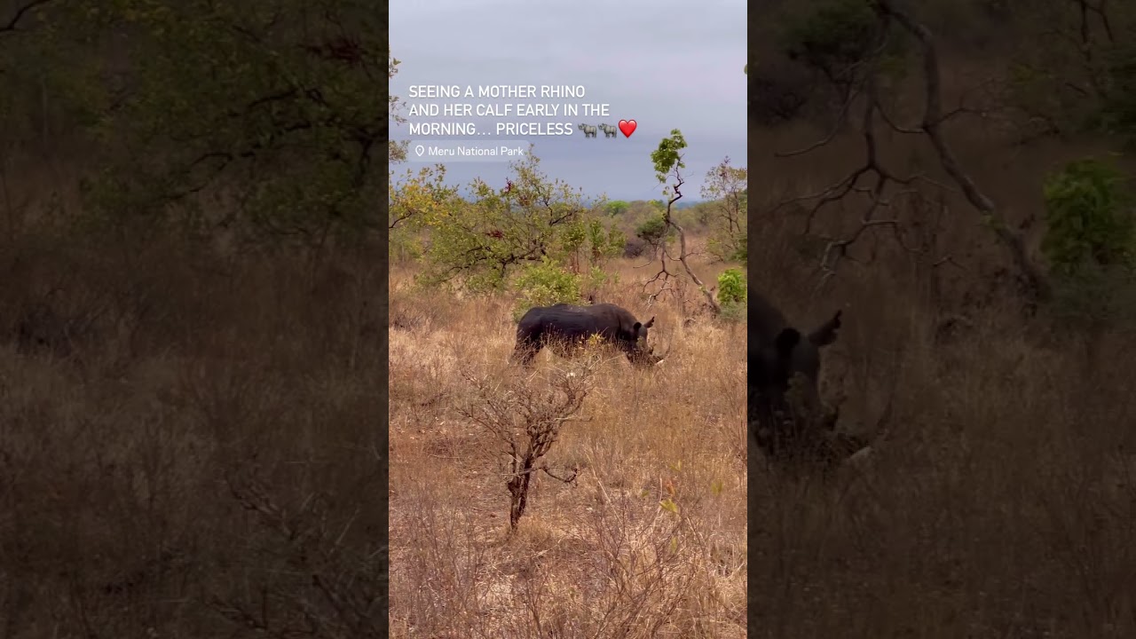Meru National park hidden Gem kenya 