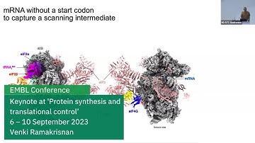 EMBL keynote lecture: A human translational initiation complex suggests two roles for helicase eIF4A
