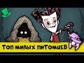 Топ самых милых питомцев в Don't Starve Together