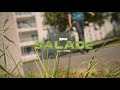 Zpk  salade clip officiel