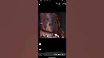 جاتها حاله 