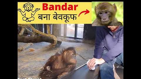Funny Monkey Reaction When He Sees A Magic Trick // Monkeys Shocked By Magic Tricks #Shorts